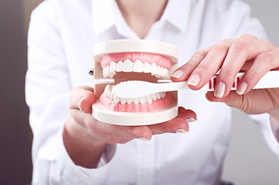 An adult female hand holding a dental model with an open mouth displaying teeth, set against a blurred background featuring a person s face.